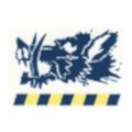 Bradford Salem logo